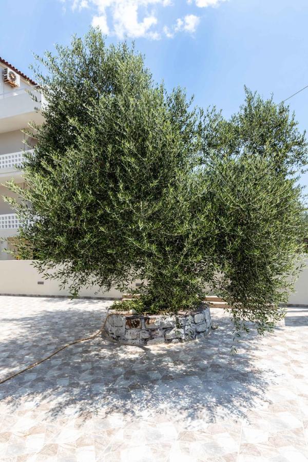 Pansion Artemis Daire Mavrovoúnion Dış mekan fotoğraf